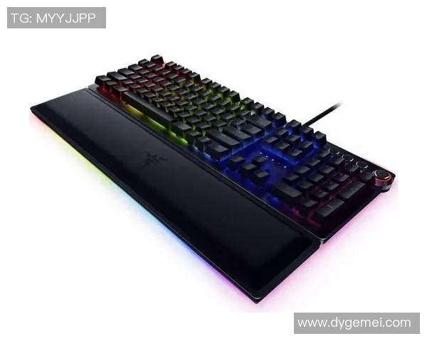 和平精英战术EDG阵地战体系解析与实战应用探讨